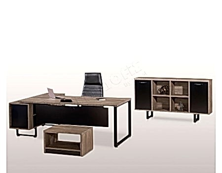 GENESİS MÜDÜR TAKIMI