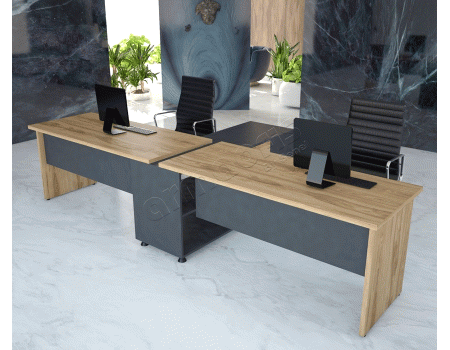 ARMA İKİLİ WORKSTATION