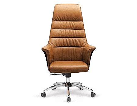 REMİX MAKAM KOLTUĞU